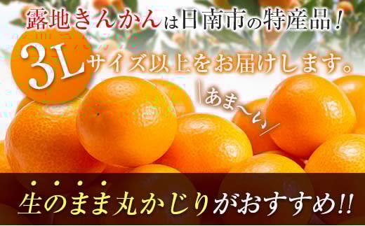 é£ã¹å¿ãæçŸ€ 倧ç ãããã èš2kgä»¥äž å·ã¿è£ååå
¥ã æ°ééå® æééå® ãã«ãŒã æç© ãã ãã® ææ© éæ å
è¡äºçŽ åœç£ åžå° äººæ° ãããã ãžã£ã ãã〠ãã¶ãŒã å°åã ãããåã èŽãç© ã®ãã èŽç ãè€çŸ ç£å°çŽé å®®åŽç æ¥ååž éæç¡æ_BB161-25