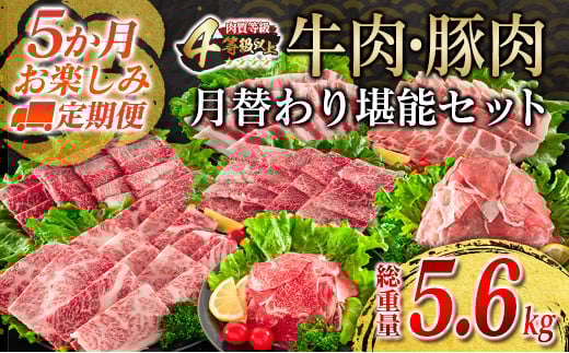 【令和8年5月から毎月配送】5か月定期便 月替わりで堪能!! 牛肉 豚肉 焼肉 セット 豚バラ 肩ロース モモ ウデ 総重量5.6kg 国産 食品 おかず BBQ バーベキュー 小分け 宮崎牛 黒毛和牛 小間切れ 赤身 A4 A5 高級 グランピング お弁当 おすすめ 人気 選べる ミヤチク 宮崎県 日南市 送料無料_JE5-25-D