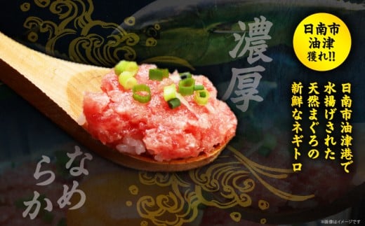 日南市油津港水揚げ 天然 まぐろ ネギトロ 計1kg 魚 魚介 マグロ 鮪 赤身 maguro 小分け 食品 加工品 国産 キハダマグロ まぐろたたき 個包装 おかず ねぎとろ丼 海鮮丼 手巻き寿司 おつまみ 冷凍 おすすめ 海産物 海鮮 宮崎県 日南市 送料無料_BC121-25