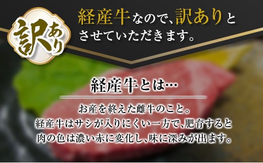 訳あり 数量限定 黒毛和牛 ヒレ ステーキ 計360g 牛肉 ビーフ 赤身肉 希少 国産 ミヤチク ご褒美 お祝 記念日 食品 焼肉 鉄板焼き BBQ バーベキュー グランピング おかず おつまみ おすすめ お取り寄せ グルメ フィレ ヘレ 宮崎県 日南市 送料無料_DA39-25