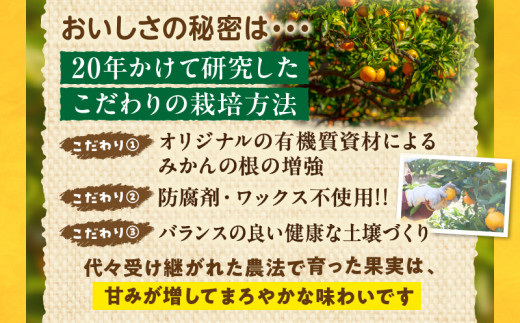 訳あり 数量限定 海藻木酢みかん 計 5kg 以上 傷み補償分入り フルーツ 果物 くだもの 柑橘 みかん 国産 期間限定 みかんジュース 食品 家庭用 自宅用 B品 わけあり オレンジ デザート おやつ おすすめ おすそ分け ご褒美 産地直送 宮崎県 日南市 送料無料_A94-25
