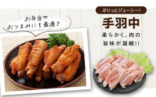 日南どり よりどり セット 合計3kg 鶏肉 国産 チキン もも切身 手羽先 手羽中 手羽元 小分け 便利 おかず おつまみ お弁当 食品 真空パック から揚げ 焼肉 お取り寄せ グルメ おすすめ 万能食材 おすそ分け ご褒美 記念日 お祝い 宮崎県 日南市 送料無料_CB85-24
