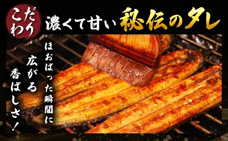 職人 手焼き うなぎ蒲焼 3尾 計390g以上 鰻 魚介類 伝統の味 秘伝のタレ 厳選 国産 ウナギ おかず 食品 加工品 真空パック 冷蔵 人気 おすすめ うな重 うな丼 惣菜 お土産 ひつまぶし うなぎ寿司 お祝い 贈り物 ギフト 贈答 プレゼント 宮崎県 日南市 送料無料_EC6-23