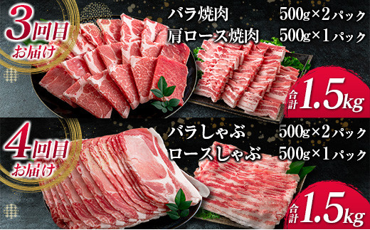 æ°ééå® 5ãæ ãæ¥œãã¿ éæ å®æäŸ¿ è±è 倧æºè¶³ ã»ãã ç·éé7.5kg ããŒã¯ åœç£ å®®åŽçç£ ããã¶ããã¶ ã¹ã©ã€ã¹ çŒè 倧容é è±ããŒã¹ è±è©ããŒã¹ è±ãã© è±ããã¶ é£å ããã ãã€ãŸã¿ ãåŒåœ é£ã¹æ¯ã¹ è©°ãåãã BBQ ãããã æ¥ååž éæç¡æ_JG2-23