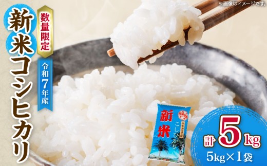 令和7年産 新米 コシヒカリ 計5kg お米 ご飯 ライス 国産 数量限定 期間限定 人気 食品 精米 白米 こしひかり 有洗米 おにぎり お弁当 炊き込みご飯 雑炊 ギフト プレゼント 贈り物 お取り寄せ 産地直送 宮崎県 日南市 送料無料_BC134-25