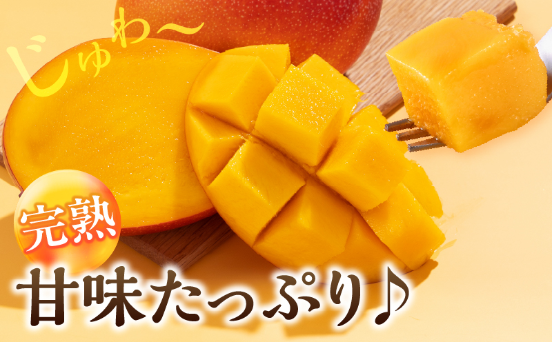 数量限定 宮崎県産 完熟マンゴー 2L×1玉 計350g以上 期間限定 フルーツ スイーツ 果物 くだもの 食品 グルメ デザート 国産 産地直送 人気 おすすめ おやつ 高級 ご褒美 贅沢 贈り物 ギフト プレゼント 令和8年発送分 宮崎県 日南市 送料無料_BA92-25