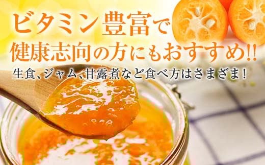 é£ã¹å¿ãæçŸ€ 倧ç ãããã èš2kgä»¥äž å·ã¿è£ååå
¥ã æ°ééå® æééå® ãã«ãŒã æç© ãã ãã® ææ© éæ å
è¡äºçŽ åœç£ åžå° äººæ° ãããã ãžã£ã ãã〠ãã¶ãŒã å°åã ãããåã èŽãç© ã®ãã èŽç ãè€çŸ ç£å°çŽé å®®åŽç æ¥ååž éæç¡æ_BB161-25