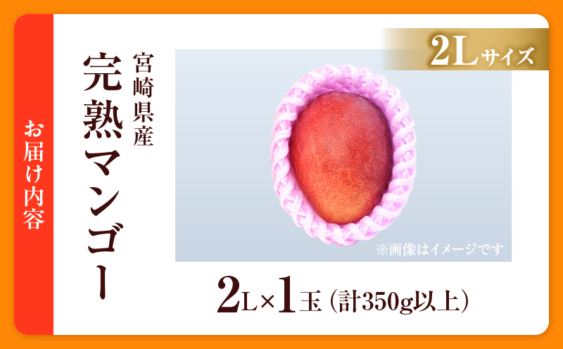 数量限定 宮崎県産 完熟マンゴー 2L×1玉 計350g以上 期間限定 フルーツ スイーツ 果物 くだもの 食品 グルメ デザート 国産 産地直送 人気 おすすめ おやつ 高級 ご褒美 贅沢 贈り物 ギフト プレゼント 令和8年発送分 宮崎県 日南市 送料無料_BA92-25