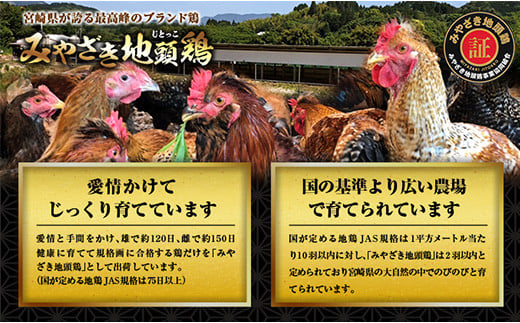 数量限定 みやざき地頭鶏 炭火焼 計600g 化粧箱入り 鶏肉 チキン 国産 ブランド鶏 加工品 惣菜 おかず おつまみ 小分け 真空パック 簡単調理 食品 ギフト プレゼント 贈り物 贈答品 宮崎名物 お取り寄せ グルメ 宮崎県 日南市 送料無料_BD80-23