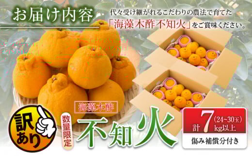 先行予約 訳あり 海藻木酢 不知火 計7kg以上 傷み補償分入り 期間限定 数量限定 フルーツ 果物 くだもの 柑橘 みかん 訳アリ 国産 食品 デザート おやつ おすそ分け おすすめ ご家庭用 ご自宅用 B品 傷 マーマレード 産地直送 宮崎県 日南市 送料無料_BBV2-24
