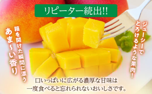 ãªããŒã¿ãŒç¶åº!!å®®åŽçç£ å®ç ãã³ãŽãŒ 2L以äžÃ2ç 什å8幎çºéå æ°ééå® ãã«ãŒã æç© ææ± åžå° æ¿å ãžã¥ãŒã·ãŒ èŽ
æ²¢ äžè³ª ãè€çŸ äººæ° åœç£ é£å ãã〠ãã¶ãŒã ç£å°çŽé ãããã ã®ãã ãã¬ãŒã³ã èŽãç© ãåç£ æåç£ ååœ æ¥ååž éæç¡æ_C123-24