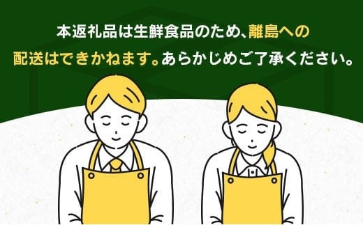ãã€ããŒããã æž©å·ã¿ãã èš5kgä»¥äž å·ã¿è£ååå
¥ã æééå® æ°ééå® ãã«ãŒã æç© ãã ãã® ãã«ã³ ææ© ãªã¬ã³ãž äººæ° åœç£ é£å ãã¶ãŒã ãã〠ãããã ç£å°çŽé ãããåã ã®ãã èŽãç© ç¹ç£å å®®åŽç æ¥ååž éæç¡æ_B260-26