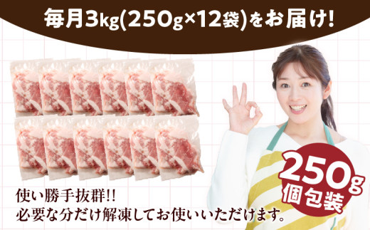 数量限定 6か月 お楽しみ 定期便 小分けで便利 豚 切り落とし 総重量18kg お肉 豚肉 国産 小分け 真空パック 個包装 万能食材 おすすめ おかず 食品 お弁当 豚丼 しゃぶしゃぶ お祝い 記念日 宮崎県 日南市 送料無料_KD1-24