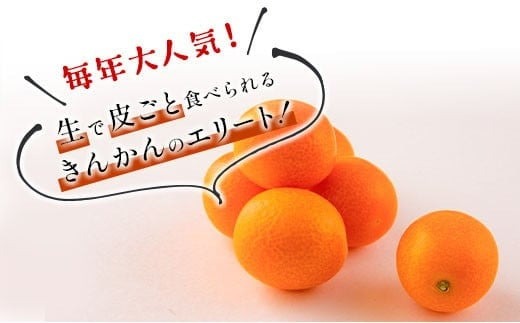 先行予約 完熟きんかん たまたま 計2kg以上 (1kg×2箱) 希少 期間限定 数量限定 フルーツ 果物 くだもの 柑橘 金柑 国産 食品 大粒 宮崎ブランド おすすめ デザート おやつ ギフト 贈り物 贈答 お返し お祝い おすそ分け 産地直送 日南市 送料無料_BC103-24