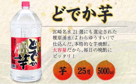ããã°ãµã€ãº èçŒé
ã©ã§ãè 25床 5000ml 2æ¬ ã»ãã ãé
ã¢ã«ã³ãŒã« 飲æ 飲ã¿ç© åœç£ 倧容é äºäžé
é å°é
æ©é
å®¶åã¿ å®
åã¿ ãç¥ã ãè€çŸ èšå¿µæ¥ ãšã³ ãããããã« ãã㯠氎å²ã ãæ¹¯å²ã ãåãå¯ã ãããã ãåç£ å®®åŽç æ¥ååž éæç¡æ_F51-21