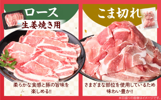 数量限定 宮崎県産 豚肉 バラエティー セット 合計4.1kg 6種 肉 豚肉 国産 食品 小分け 豚バラ ロース 小間切れ こま切れ 食べ比べ 焼肉 しゃぶしゃぶ 生姜焼き 炒め物 豚汁 おかず お弁当 冷凍 おすすめ ギフト 贈り物 贈答 宮崎県 日南市 送料無料_DD14-24