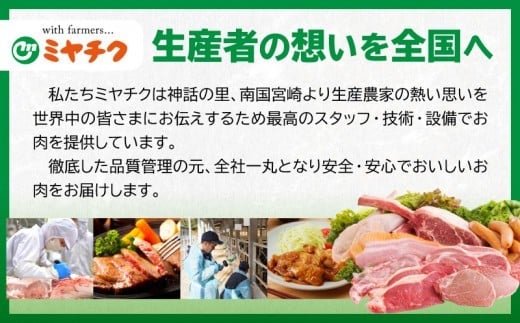 【令和8年7月配送】数量限定 宮崎牛 霜降り 焼肉 計1kg 肉質等級4等級以上 牛肉 黒毛和牛 国産 食品 おかず 最高級 ブランド牛 焼き肉 BBQ バーベキュー キャンプ 人気 おすすめ 記念日 贈り物 お取り寄せ ミヤチク 宮崎県 日南市 送料無料_DA52-25-07