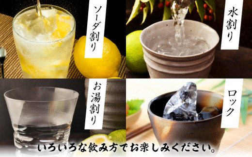 ã¹ãŒããŒã©ã€ãããã ãã㯠6æ¬ 1800ml 20床 æ¬æ ŒèçŒé
çŒé
ãé
ã¢ã«ã³ãŒã« 飲æ åœç£ çŒé
ãã€ããŒã« æ©é
å®¶åã¿ å®
åã¿ ãè€çŸ ãç¥ã èšå¿µæ¥ æåç£ ã®ãã èŽãç© ãããã å®®åŽç æ¥ååž éæç¡æ_FF14-25