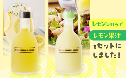 日南レモン シロップ レモン 果汁 オリジナル 2本 セット 合計600ml 果物 フルーツ くだもの れもん 檸檬 柑橘 ジュース 飲料 ドリンク 国産 食品 オリジナル ブレンド 無添加 保存料不使用 お土産 ギフト プレゼント 贈り物 贈答品 宮崎県 日南市 送料無料_C151-25