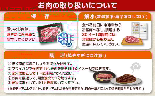 数量限定 宮崎牛 モモ ステーキ 計800g 牛肉 ビーフ 黒毛和牛 ブランド牛 国産 もも 赤身肉 ヘルシー 鉄板焼き 焼肉 高級 贅沢 上質 ご褒美 お祝 記念日 真空パック 個包装 4等級以上 A4 A5 おすすめ おかず お取り寄せ グルメ 食品 宮崎県 日南市 送料無料_DC29-25