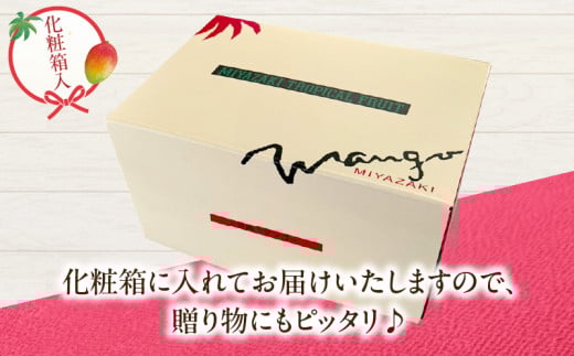 特大5Lサイズ 宮崎県産 完熟マンゴー 3玉 化粧箱入り 令和8年発送分 期間限定 数量限定 フルーツ 果物 くだもの 国産 食品 デザート おすすめ ご褒美 贅沢 産地直送 特大 希少 お祝 お土産 プレゼント ギフト 贈り物 宮崎県 日南市 送料無料_FF7-24