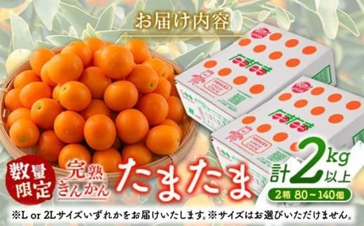 先行予約 完熟きんかん たまたま 計2kg以上 (1kg×2箱) 希少 期間限定 数量限定 フルーツ 果物 くだもの 柑橘 金柑 国産 食品 大粒 宮崎ブランド おすすめ デザート おやつ ギフト 贈り物 贈答 お返し お祝い おすそ分け 産地直送 日南市 送料無料_BC103-24