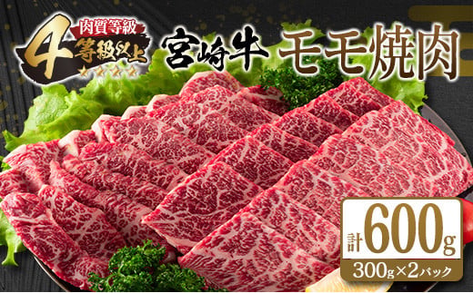 宮崎牛 モモ 焼肉 計600g 牛肉 ビーフ 黒毛和牛 赤身肉 国産 ブランド牛 おすすめ BBQ グランピング 鉄板焼き おもてなし ご褒美 お祝い 記念日 おすそ分け おかず おつまみ お弁当 お取り寄せ グルメ 4等級以上 A4ランク以上 冷凍 宮崎県 日南市 送料無料_CC67-25