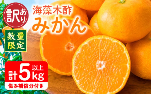 訳あり 数量限定 海藻木酢みかん 計 5kg 以上 傷み補償分入り フルーツ 果物 くだもの 柑橘 みかん 国産 期間限定 みかんジュース 食品 家庭用 自宅用 B品 わけあり オレンジ デザート おやつ おすすめ おすそ分け ご褒美 産地直送 宮崎県 日南市 送料無料_A94-25
