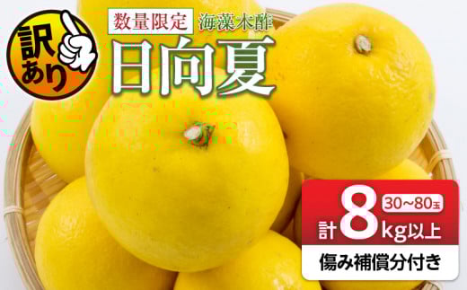 先行予約 訳あり 海藻木酢 日向夏 小夏 計8kg以上 傷み補償分付き 期間限定 数量限定 フルーツ 果物 くだもの 柑橘 みかん 訳アリ 国産 食品 デザート おやつ おすそ分け おすすめ ご家庭用 ご自宅用 B品 傷 マーマレード 産地直送 宮崎県 日南市 送料無料_BA80-24