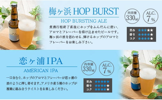 地域限定 人気 クラフトビール 6種 飲み比べ セット 330ml × 6本 国産 食品 お酒 アルコール 飲料 ブルワリー 地ビール 麦酒 テイスト おすすめ パーティー お祝 記念日 ご褒美 お土産 ギフト 詰め合わせ お取り寄せ グルメ 宮崎県 日南市 送料無料_BC73-23