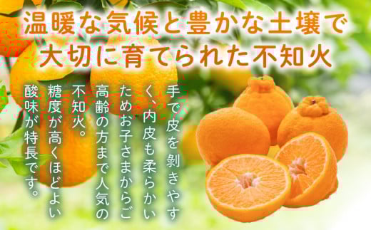 先行予約 訳あり 不知火 計3.8kg以上 傷み補償分入り 令和8年発送 期間限定 数量限定 フルーツ 果物 くだもの みかん オレンジ 柑橘 デザート ジュース おやつ 国産 食品 不揃い 傷 規格外 訳アリ 家庭用 おすそ分け おすすめ 宮崎県 日南市 送料無料_AAV6-25
