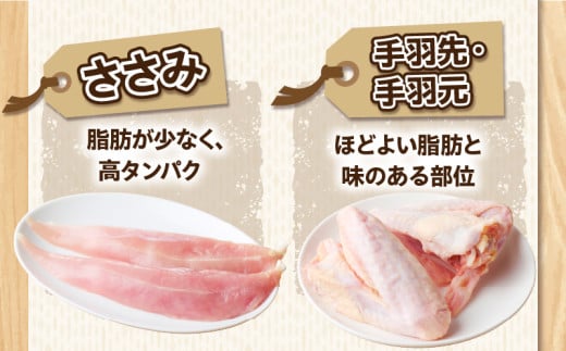 æ°ééå® ã¿ãããå°é é¶ 5çš®ã»ãã è é¶è ãšã åœç£ é£å å°åã é£ã¹æ¯ã¹ ãã ãã ããã¿ æçŸœå
æçŸœå
ããã ãã€ãŸã¿ ãåŒåœ æ©ã飯 ããæã ãµã©ã çŒè äžèœé£æ ç空ãã㯠å·å ãããã ã®ãã èŽãç© èŽç å®®åŽç æ¥ååž éæç¡æ_BD98-24