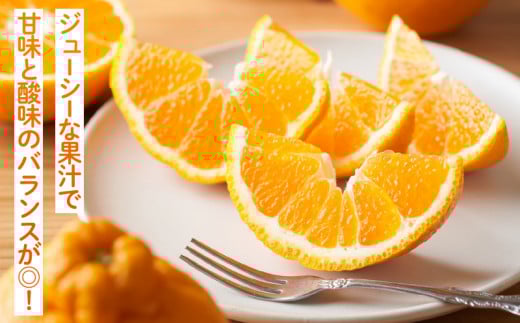 先行予約 訳あり 不知火 計3.8kg以上 傷み補償分入り 令和8年発送 期間限定 数量限定 フルーツ 果物 くだもの みかん オレンジ 柑橘 デザート ジュース おやつ 国産 食品 不揃い 傷 規格外 訳アリ 家庭用 おすそ分け おすすめ 宮崎県 日南市 送料無料_AAV6-25