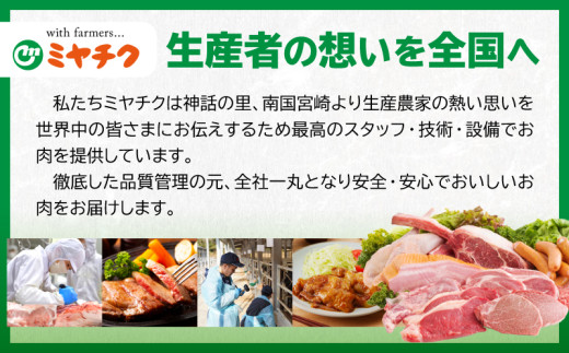 【お中元・夏の贈り物】【畜産農家応援】数量限定 厳選 宮崎牛 赤身 スライス 計400g 牛肉 国産 すき焼き 人気 黒毛和牛 肩ウデ モモ しゃぶしゃぶ A4 A5 等級 ギフト 贈答 小分け 食品 選べる ミヤチク 宮崎県 日南市 送料無料_BA100-262