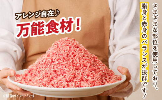 小分けで便利 様々な料理に活用 豚 ミンチ 計1.5kg 豚肉 ポーク ひき肉 挽肉 万能食材 国産 食品 おかず お弁当 ハンバーグ ミートソース そぼろ丼 麻婆豆腐 個包装 小分け おすすめ お祝い 記念日 ギフト 贈り物 贈答 おすそ分け 宮崎県 日南市 送料無料_B231-24