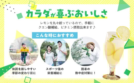 日南レモン シロップ レモン 果汁 オリジナル 2本 セット 合計600ml 果物 フルーツ くだもの れもん 檸檬 柑橘 ジュース 飲料 ドリンク 国産 食品 オリジナル ブレンド 無添加 保存料不使用 お土産 ギフト プレゼント 贈り物 贈答品 宮崎県 日南市 送料無料_C151-25