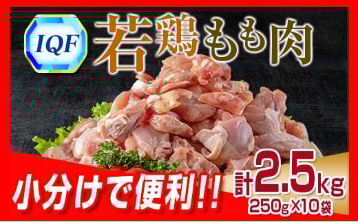 小分け 便利 カット済 若鶏 もも肉 計2.5kg 250g × 10袋 鶏肉 国産 おかず お弁当 おつまみ 食品 IQF冷凍 バラバラ凍結 チキン 簡単調理 から揚げ 唐揚げ 親子丼 チキンカレー 人気 おすすめ グルメ おすそ分け お取り寄せ 大容量 宮崎県 日南市 送料無料_BD115-25
