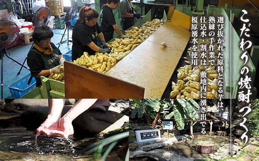 本格芋焼酎 飫肥杉 爽・黒・赤 3種 飲み比べ セット 合計6本 20度 お酒 アルコール 飲料 井上酒造 地酒 晩酌 上品 ご褒美 お取り寄せ グルメ 詰め合わせ おすそ分け 手土産 宅呑み お祝 記念日 イベント ギフト 人気 おすすめ 宮崎県 日南市 送料無料_C93-23