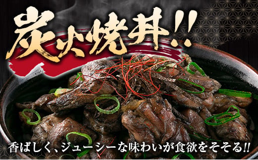数量限定 みやざき地頭鶏 炭火焼 計600g 化粧箱入り 鶏肉 チキン 国産 ブランド鶏 加工品 惣菜 おかず おつまみ 小分け 真空パック 簡単調理 食品 ギフト プレゼント 贈り物 贈答品 宮崎名物 お取り寄せ グルメ 宮崎県 日南市 送料無料_BD80-23
