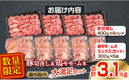 数量限定 豚肉 切り落とし 鶏肉 モモ ムネ セット 合計3.1kg 国産 食品 ポーク チキン おかず 人気 大容量 万能食材 焼肉 から揚げ 炒め物 お弁当 おつまみ 詰め合わせ 食べ比べ 小分け 便利 おすすめ グルメ お取り寄せ おすそ分け 宮崎県 日南市 送料無料_BDV2-26