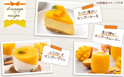 訳あり 宮崎県産 完熟マンゴー 約1.8kg 期間限定 数量限定 フルーツ 果物 くだもの 国産 食品 デザート おやつ フルーツサンド おすすめ ご褒美 贅沢 産地直送 傷 規格外 訳アリ おすそ分け 家庭用 冷蔵 宮崎県 日南市 送料無料_DA32-24