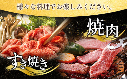 数量限定 3か月 お楽しみ 定期便 宮崎牛 スライス 焼肉 ステーキ セット 総重量1.7kg 牛肉 ビーフ 黒毛和牛 国産 ブランド牛 食品 ロース バラ モモ すき焼き しゃぶしゃぶ 高級 ご褒美 お祝い 記念日 おすすめ お取り寄せ グルメ 宮崎県 日南市 送料無料_JB2-23