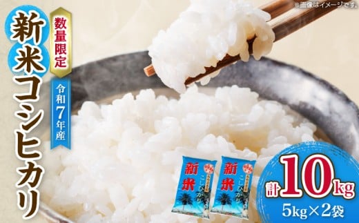 令和7年産 新米 コシヒカリ 計10kg お米 ご飯 ライス 国産 数量限定 期間限定 人気 食品 精米 白米 こしひかり 有洗米 おにぎり お弁当 炊き込みご飯 雑炊 ギフト プレゼント 贈り物 お取り寄せ 産地直送 宮崎県 日南市 送料無料_E55-25