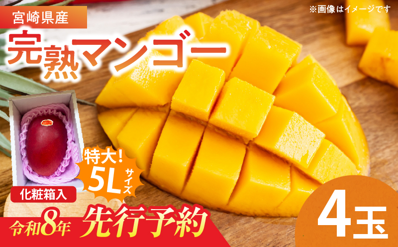 特大5Lサイズ 宮崎県産 完熟マンゴー 4玉 化粧箱入り 令和8年発送分 期間限定 数量限定 フルーツ 果物 くだもの 国産 食品 デザート おすすめ ご褒美 贅沢 産地直送 特大 希少 お祝 お土産 プレゼント ギフト 贈り物 宮崎県 日南市 送料無料_GF1-24