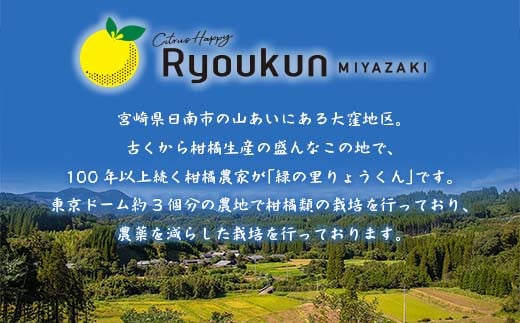 ★テレビで紹介された★ 数量限定 グレープフルーツ 月夜実 白 つくよみ 計4kg以上 期間限定 希少 完熟 果物 くだもの 柑橘 オリジナル ブランド 国産 食品 人気 おすすめ デザート スイーツ おやつ おすそ分け お取り寄せ グルメ 産地直送 宮崎県 日南市 送料無料_BC102-24