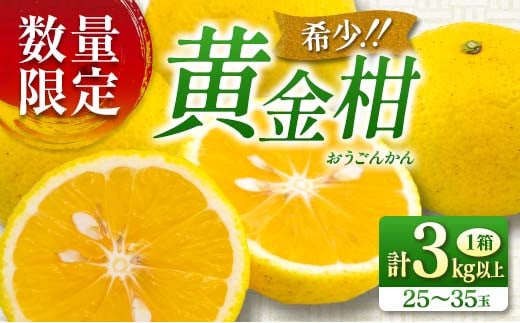 先行予約 新感覚シトラス 黄金柑 おうごんかん 計3kg以上 令和8年発送 期間限定 数量限定 希少 果物 くだもの フルーツ 国産 食品 柑橘 みかん 蜜柑 ゴールデンオレンジ デザート おやつ おすすめ おすそ分け 手土産 ギフト 贈り物 宮崎県 日南市 送料無料_AAV8-25
