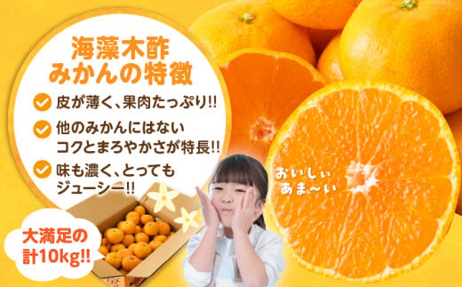訳あり 数量限定 海藻木酢みかん 計 10kg 以上 傷み補償分入り フルーツ 果物 くだもの 柑橘 みかん 国産 期間限定 みかんジュース 食品 家庭用 自宅用 B品 わけあり オレンジ デザート おやつ おすすめ おすそ分け ご褒美 産地直送 宮崎県 日南市 送料無料_BBV4-25