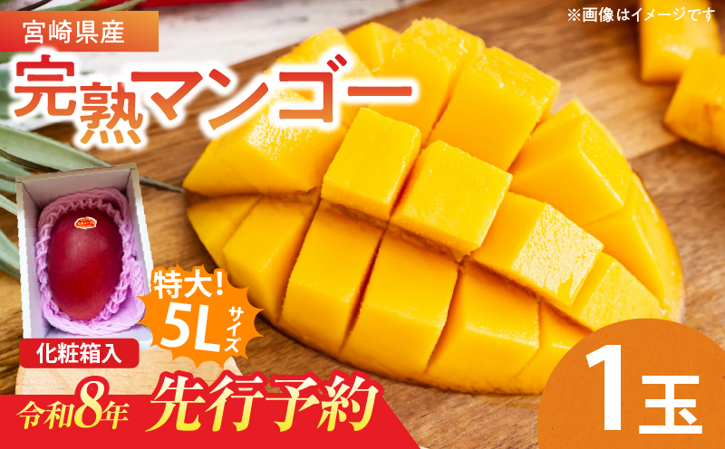 特大5Lサイズ 宮崎県産 完熟マンゴー 1玉 化粧箱入り 令和8年発送分 期間限定 数量限定 フルーツ 果物 くだもの 国産 食品 デザート おすすめ ご褒美 贅沢 産地直送 特大 希少 お祝 お土産 プレゼント ギフト 贈り物 宮崎県 日南市 送料無料_C107-23