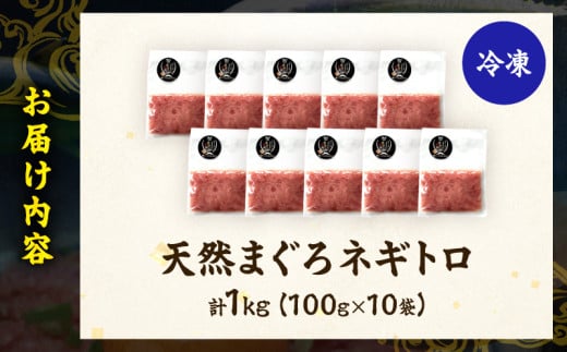 日南市油津港水揚げ 天然 まぐろ ネギトロ 計1kg 魚 魚介 マグロ 鮪 赤身 maguro 小分け 食品 加工品 国産 キハダマグロ まぐろたたき 個包装 おかず ねぎとろ丼 海鮮丼 手巻き寿司 おつまみ 冷凍 おすすめ 海産物 海鮮 宮崎県 日南市 送料無料_BC121-25