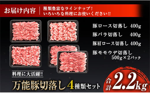 豚肉 切り落とし 4種 セット 合計2.2kg 日南市産 ポーク 国産 食品 おかず お弁当 おつまみ 万能食材 豚ロース 豚バラ 豚モモ 豚ウデ 切落し 食べ比べ 人気 おすすめ カレー 焼肉 生姜焼き 炒め物 大容量 お取り寄せ おすそ分け 宮崎県 日南市 送料無料_BC108-25